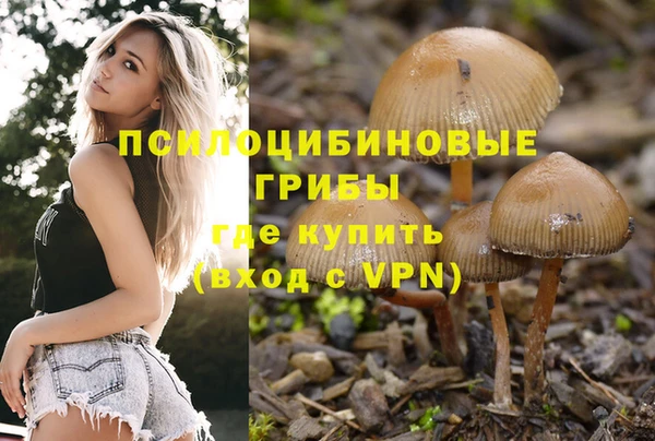 a pvp Надым