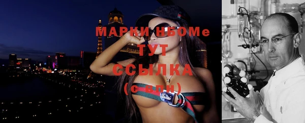 прущие крисы Бородино