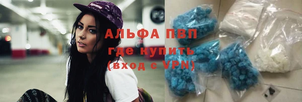 прущие крисы Бородино