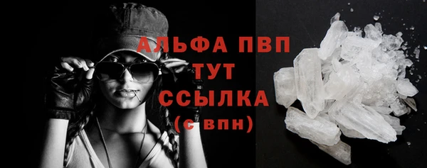прущие крисы Бородино