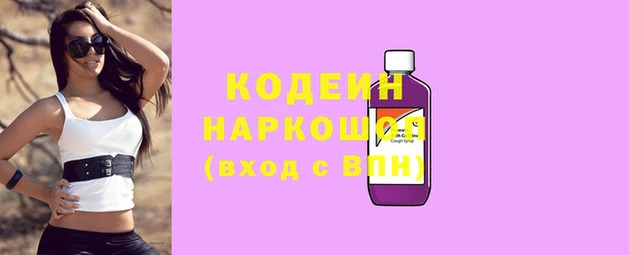 прущие крисы Бородино