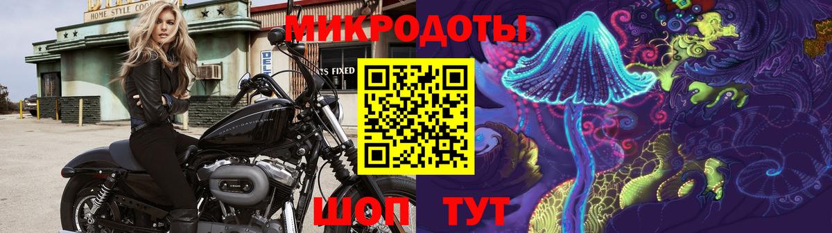 Галлюциногенные грибы мухоморы Торжок