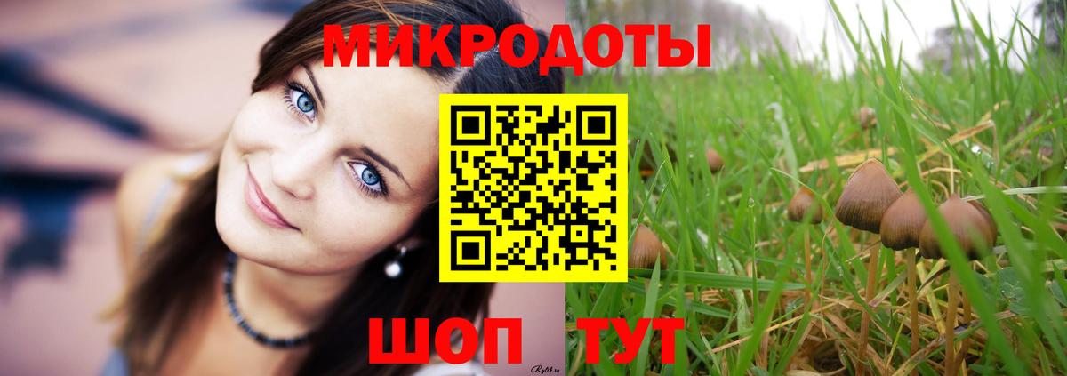 Торжок  Псилоцибиновые грибы Magic Shrooms  Вход с VPN 